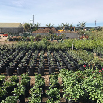 Local Nurseries