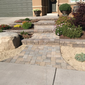 Complete Backyard Landscape Remodel, Environmental Concepts