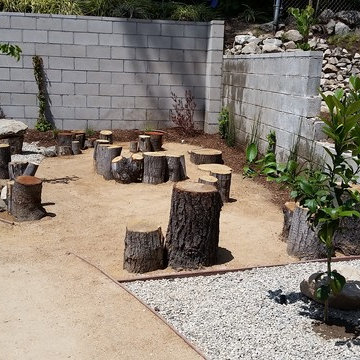 Playful CA Native Landscape Design