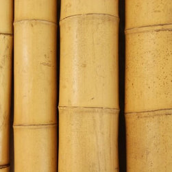 Bamboo Poles - Building Materials