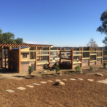 Vegetable Structure