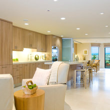 Contemporary Kitchens