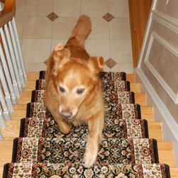 Pets on Stairs - Pet Supplies