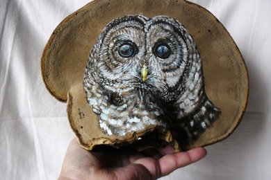 Tinder Fungus Art Owl portrait