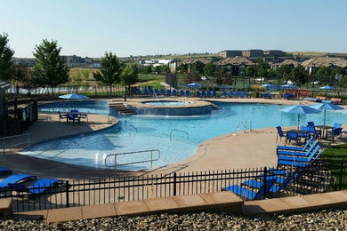 Pool - contemporary pool idea in Denver