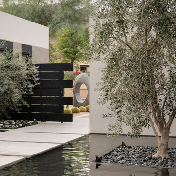 Bighorn Palm Desert luxury home modern entrance landscape design
