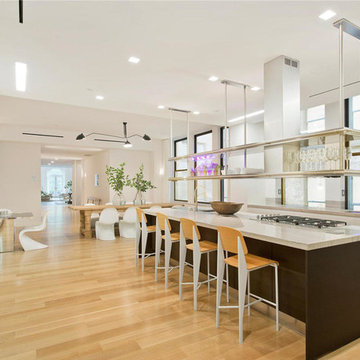 Madison Square Park Penthouse