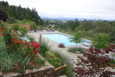 Photo of a large contemporary backyard rectangular lap pool in San Francisco with natural stone pavers.