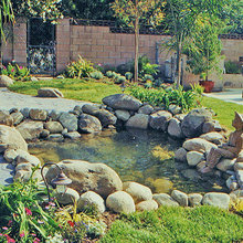 pond ideas