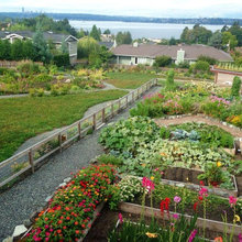 Permaculture