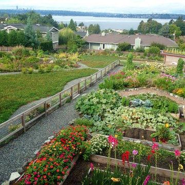 Kirkland Permaculture Garden