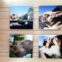 Framed photographs in spaces - Photographs