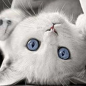 Donna Brooks's photo
