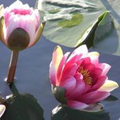 Teresa Wenzel's photo