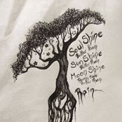 Lauri Carter's photo