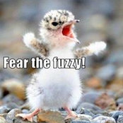 David Garcia's photo