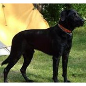 Lynn Rozenberger's photo