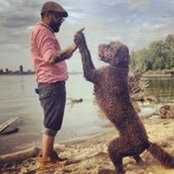 Deepak Mehmi's photo