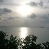 Jacqui DePina's photo