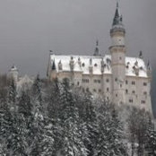 Thea Roessler's photo