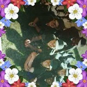 Andrea Dibbert's photo