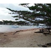 Milene Rosan's photo