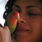 Kristin Cattrano's photo