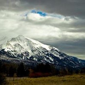 Cara Lynch's photo