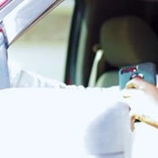 Ace McFlyさんの写真