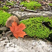 Evon Docherty's photo