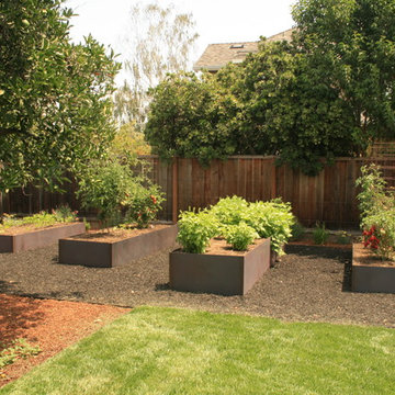 Drought Tolerant Edible Landscape