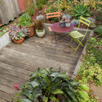 Garden in the Excelsior