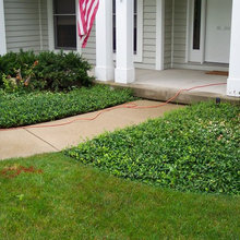 Hardscape