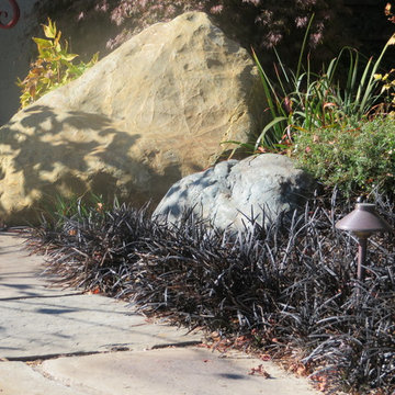 Landscape/Hardscape, Albany, CA