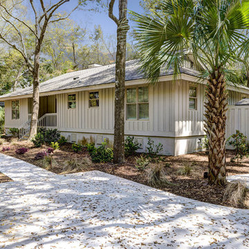 Conifer- Kiawah