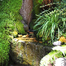 Fountain And Pond Ideas