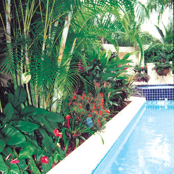 Boca Raton Luxury Garden