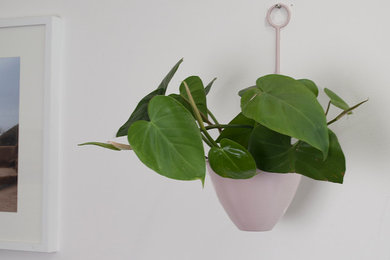 Wall Planter Pale Pink