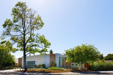 Ejemplo de fachada de casa blanca moderna de tamaño medio de una planta con revestimientos combinados y tejado plano