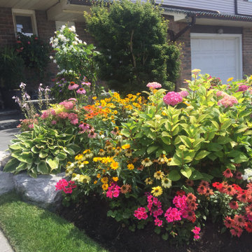 Front Yard Landscape