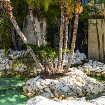 Tropical Architecture
