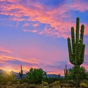 Peggy Sue Croswhite's photo