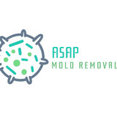Asap-Moldabatmet's profile photo