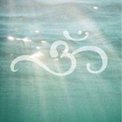 Mandi Dickerson's photo