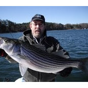 Thomas Mathews's photo