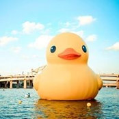 Cindy Ford's photo