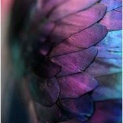 Kareena Cervetto's photo