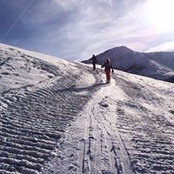 Foto von Marielle Fraser