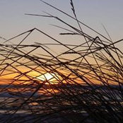 Þórdís Óladóttir's photo