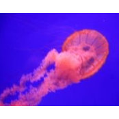 Denise Neaton's photo